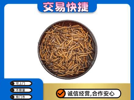 天水高价回收散虫草