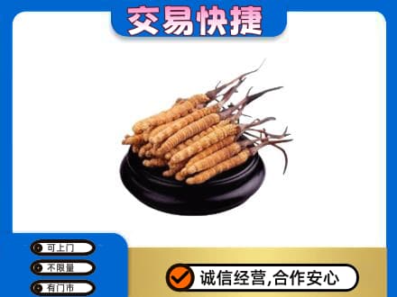 天水回收冬虫夏草多少钱每克
